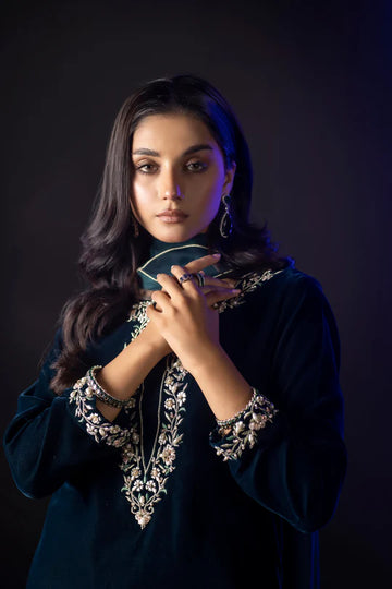 ZAB Embroidered Velvet Dress with Embroidered Karandi Shawl - zab990